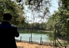 João Pinheiro se indigna com estado do Bosque Municipal e promete transformação radical em seu plano de governo
