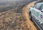 Polícia Militar Ambiental multa CPFL em R$ 12 milhões por incêndio em cidades da região 