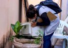 Com 17 mortes e quase 10 mil casos no ano, levantamento aponta Marília como foco de atenção para surto de dengue