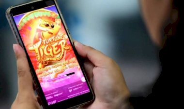 Funcionária da Câmara de Guaimbê é investigada por desvio de R$ 100 mil para apostar no Jogo do Tigrinho e outras apostas online