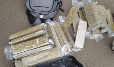 Passageiro é preso com 25 kg de maconha em ônibus na BR-153