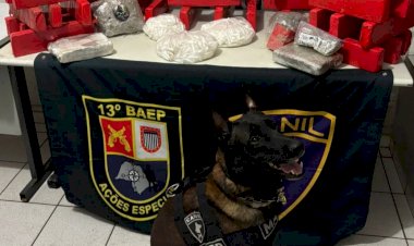 Polícia Militar apreende grande quantidade de drogas na zona norte de Marília