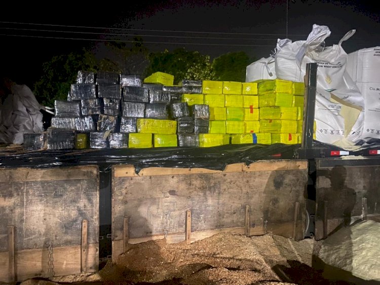 Mais de 3 toneladas de maconha são apreendidas em meio a carga de trigo em rodovia na região