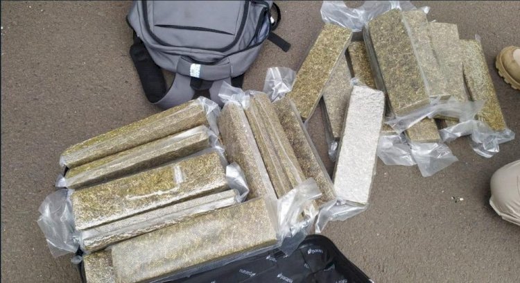 Passageiro é preso com 25 kg de maconha em ônibus na BR-153